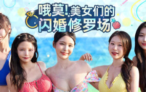 哦莫！美女们的闪婚修罗场/Too Hot to Be True